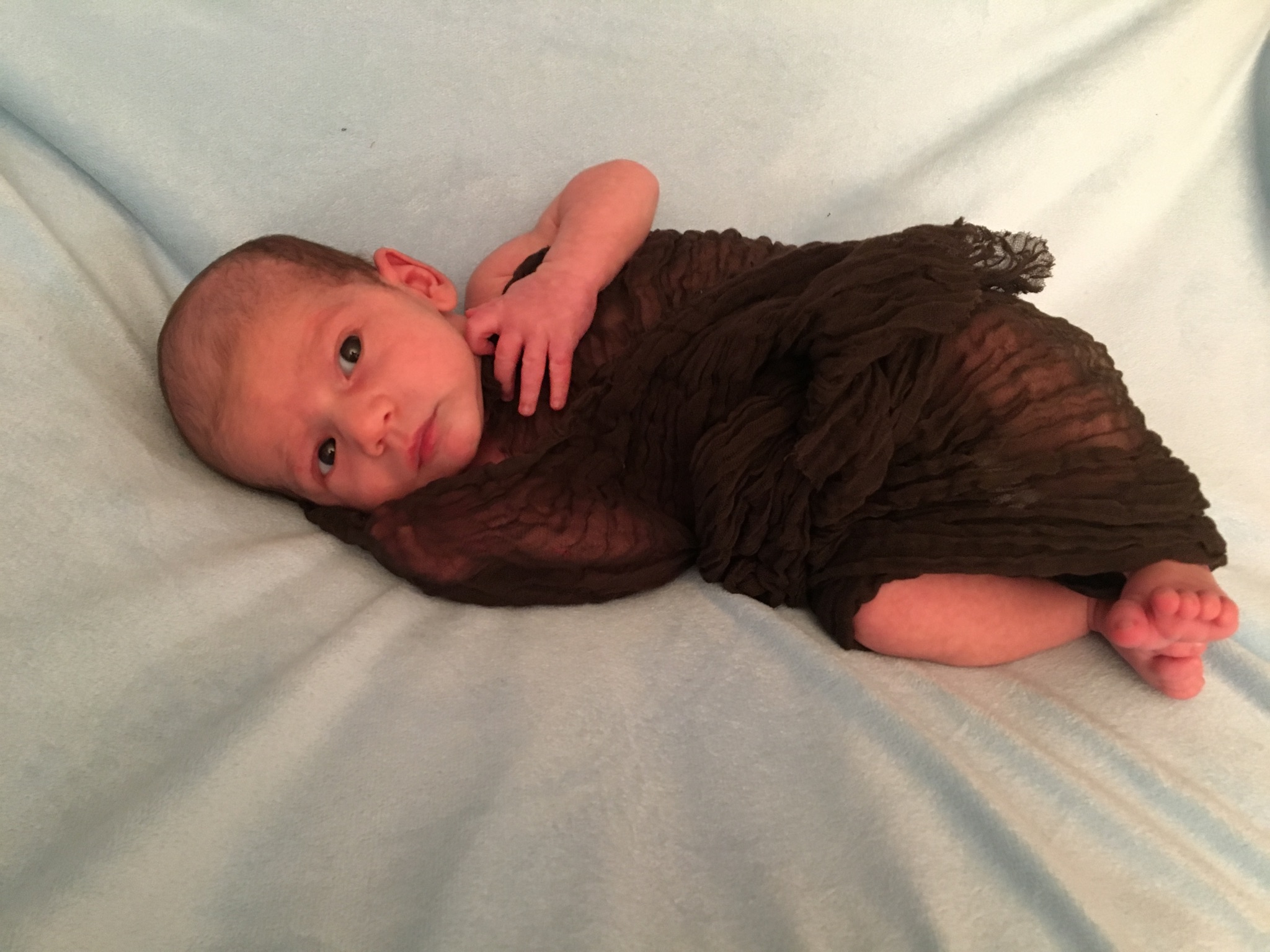Chocolate Brown Cheesecloth Wrap 36" x 48" - Click Image to Close