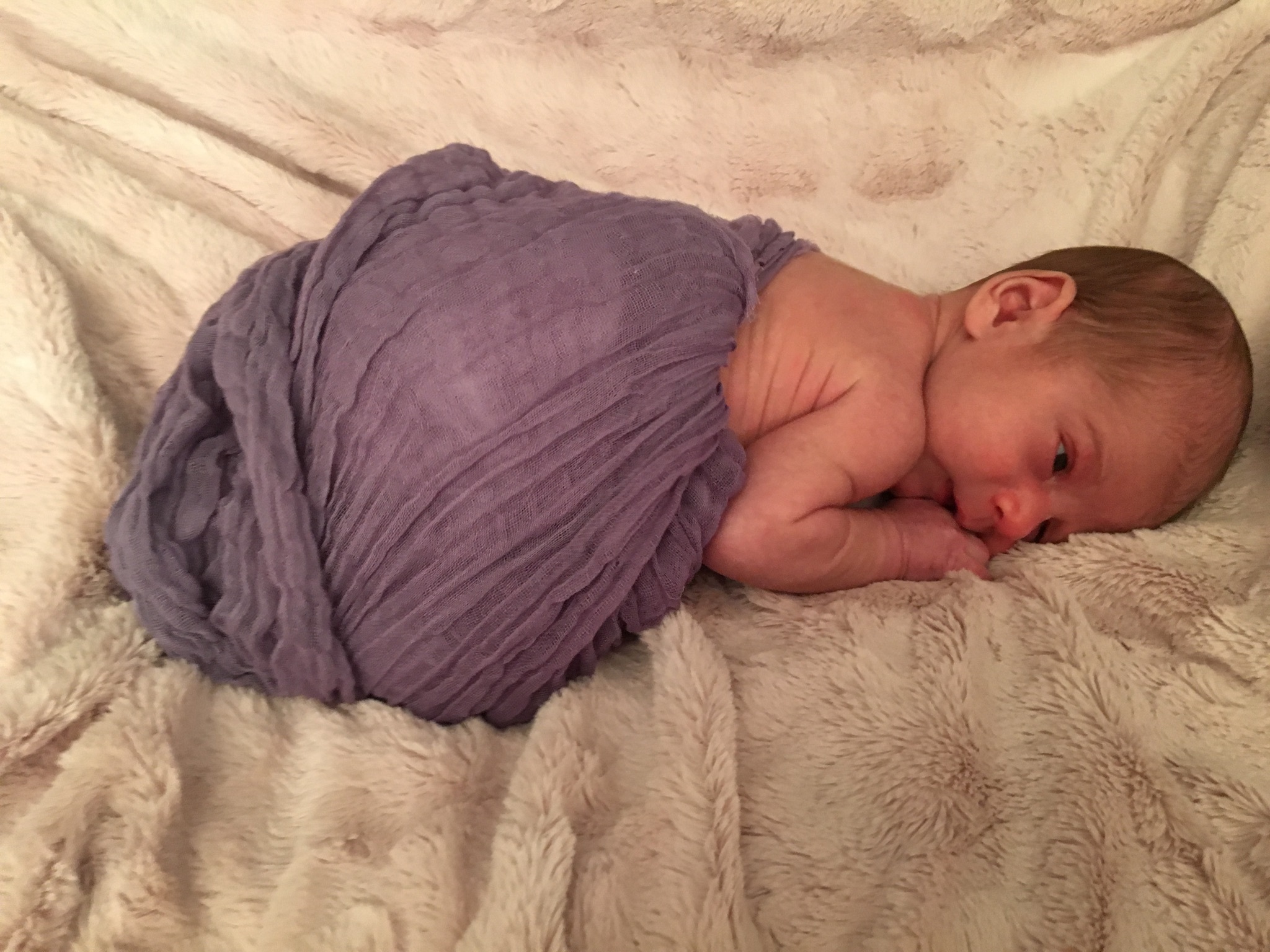 Heirloom Lilac Cheesecloth Wrap 36" x 48" - Click Image to Close