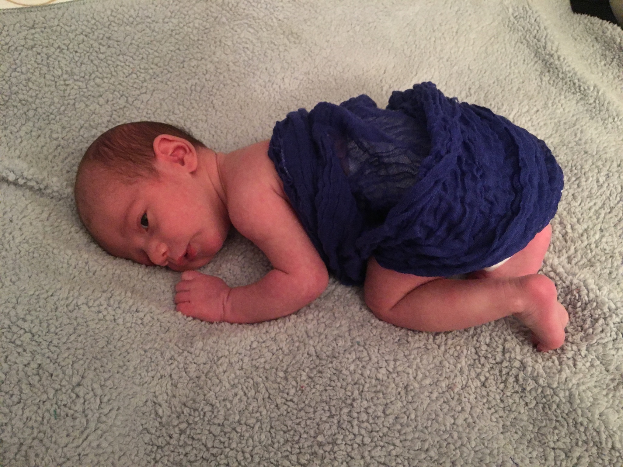 Royal Blue Cheesecloth Wrap 36" x 48"
